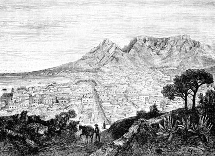 City view of Cape Town with Table Mountain, bay with ships, nature, Algarves, horse, worker, South