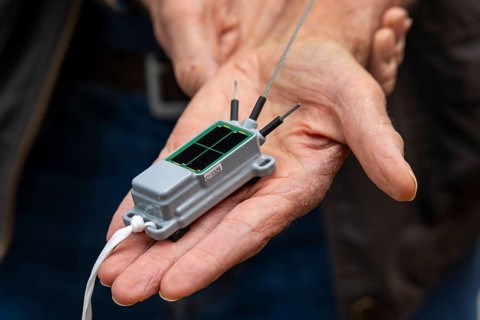 A GPS tracking transmitter that fits in the palm of your hand, tagging white storks (Ciconia