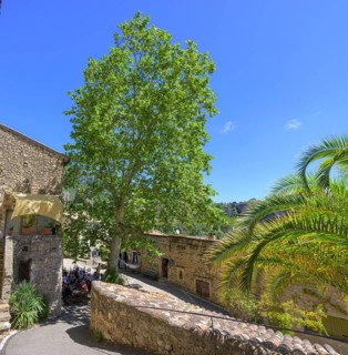 Square and café in the old town centre of Mourèze, Département Hérault, France