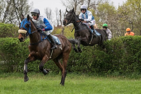 WROCLAW, POLAND - APRIL 15, 2018: International race with obstacles for four years horses at