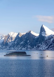 Floating fish farming structures in the calm waters of Mefjordbotn, surrounded by dramatic snowy