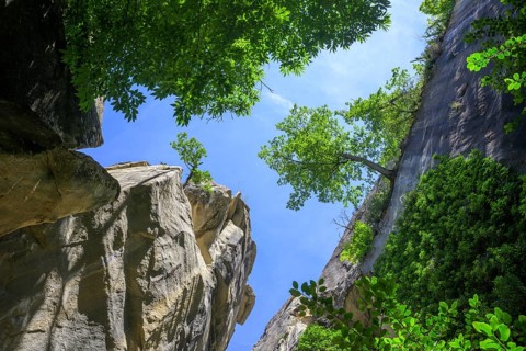 High rocks and a tree that defies gravity, hike through the sandstone labyrinth Grés d'Annot,