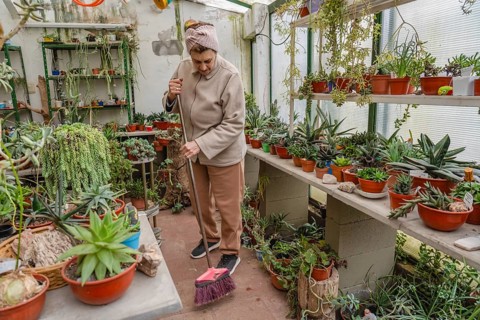 Older woman in pink knit headband sweeps the tiled floor of her home greenhouse with a pink broom,