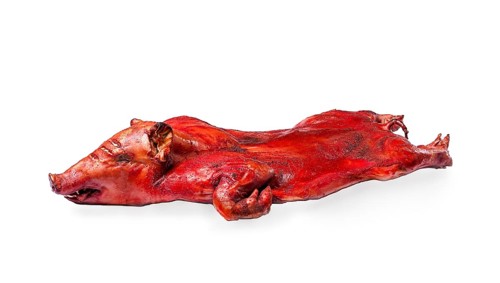 Baked, fried piglet on a wooden table, without people, on a white background