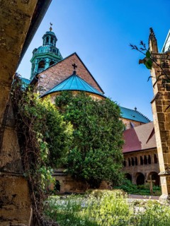 1000 year old Rosenstock at Hildesheim Cathedral, Hildesheim, Germany