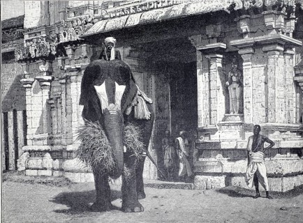 Elephant with rider in front of a temple in northern India, 1890, India, authentic, digitally