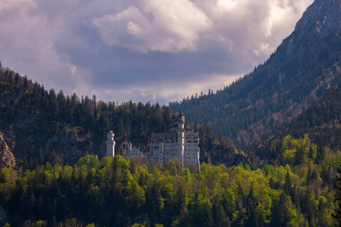 Neuschwanstein Castle nestled in a wooded mountain landscape, Schwangau near Füssen, Ostallgäu