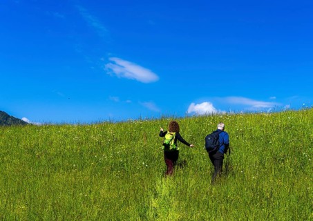 Hiker in a meadow on a mountain, Bad Vigaun, Austria