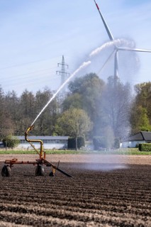Artificial irrigation of a potato field in April, with a sprinkler system, long drought in spring