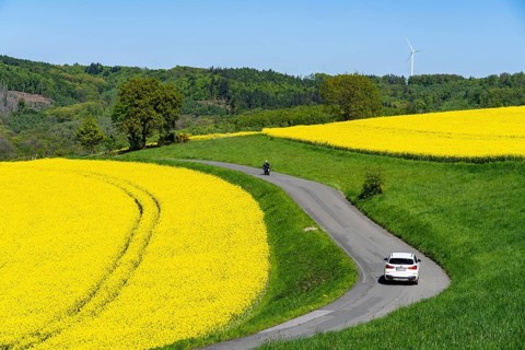 Car on a small country road through rape fields in full bloom, spring in the Elfringhauser Schweiz,