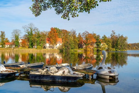 View from a jetty with pedal boats in autumn across the Wutzsee lake to Lindow Monastery, Lindow