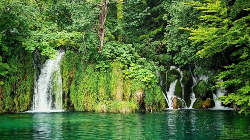 Lively waterfall flanked by moss-covered plants and sparkling water, Plitvice Lakes National Park,
