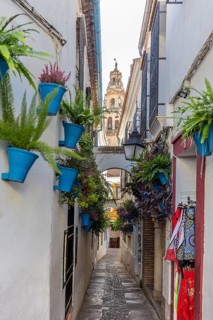 Narrow alley with blue flower pots and plants, a church tower in the background in sunny weather,
