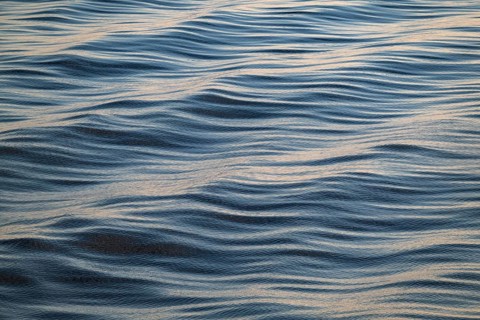 Small waves, sea, sea surface, Baltic Sea