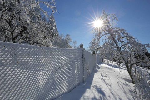Winter landscape with snow and chain link fence against light, branches in winter, sunbeams, snowy