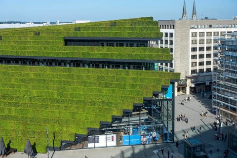 Green façade, made of over 30, 000 hornbeams, a good 8 kilometers long hedge, on the roof and the