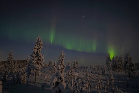 Northern Lights (Aurora borealis) over moonlit winter landscape, Nattavaara, Norrbotten, Lapland,