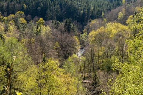 Germany, Greiz, Göltzschtal, Thuringia, Thuringia, spring, Köhlersteig, landscape, spring, Vogtland