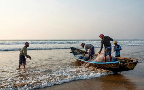Sorting fishing nets after returning from fishing, Bay of Bengal (Odisha, India)