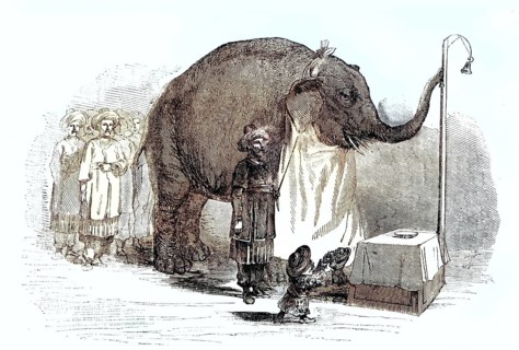 Illustration shows the famous Asian elephant Chunee at a demonstration in the early 19th century.
