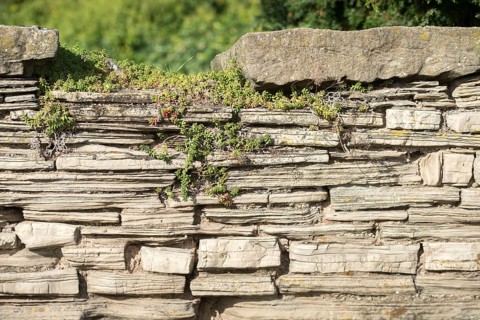 Cultivated landscape, dry-stone wall, cultural landscape, stone wall, dry stone wall