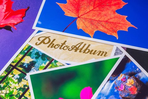 Close-up of bright and vivid color nature photos on top of light tan and golden brown souvenir