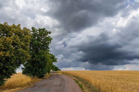 Rain clouds near Börnche in the Ore Mountains, Börnchen, Saxony, Germany