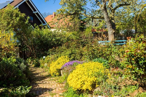A landscaped natural garden with a house in a nature reserve on the edge of a village, Bannewitz,