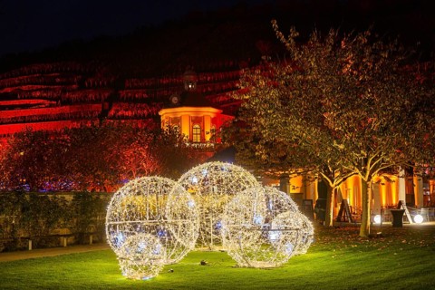 Adventure winery to shine in special splendour from next week Radebeul, 1 November 2024 From 8