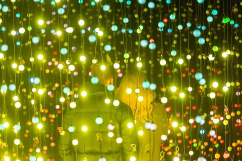 It is the most beautiful time of the year when the sparkling evening trail finally lights up