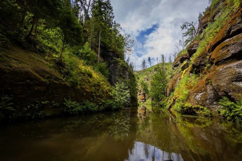 After the forest fires three years ago in Saxon-Bohemian Switzerland, Edmundsklamm Gorge will be