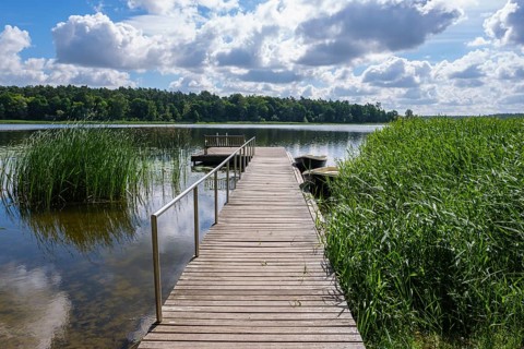 Wooden jetty at the lake, surrounded by reeds and cloudy sky, Nakenstorf, Neuklostersee,