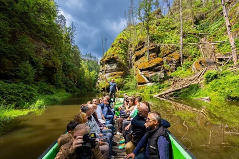 After the forest fires three years ago in Saxon-Bohemian Switzerland, Edmundsklamm Gorge will be
