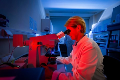 As the state laboratory for Saxony, the LUA plays a very important role in health and consumer