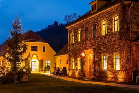 Winter evening at the Hoflößnitz winery, Radebeul, Saxony, Germany