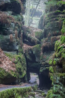 The Uttewalder Grund is a partially narrow and deeply incised gorge in the Elbe Sandstone