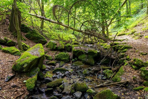 The Rabenauer Grund is a notch valley up to 80 metres deep in the Rote Weißeritz in the Eastern Ore