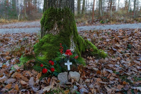 The funeral forest in Coswig is called Naturruhe Friedewald and is a form of natural burial in