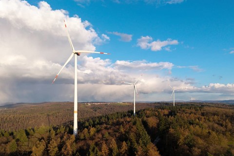 Three wind turbines above a lush forest under a blue sky with white clouds, wind turbine, near