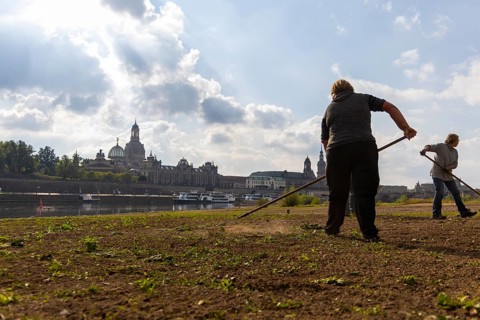 Employees of the company Garten- und Landschaftsbau Kohut from Elstra, restore the Elbe meadows