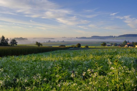 Sunrise with fog, Uigendorf near Unlingen, Swabian Alb, Upper Swabia, Swabia, Baden-Württemberg,