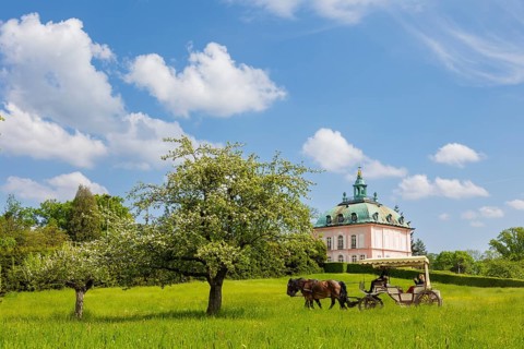 Pheasant Castle Moritzburg in Spring