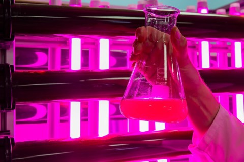 PUEVIT GmbH produces the most efficient photobioreactors for the cultivation of microalgae. The aim