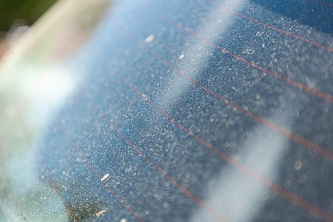 Layer of yellow pollen on a car window