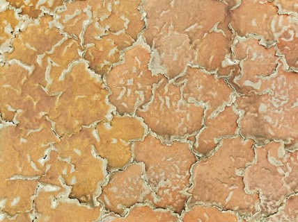 Salt marsh at the Skeleton Coast. Aerial view. Drone shot. Dorob National Park, Namibia