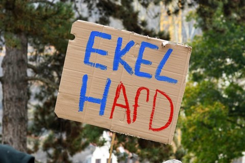 Heidelberg, Germany - February 12th 2025: Anto political far right party AfD- protest siign with