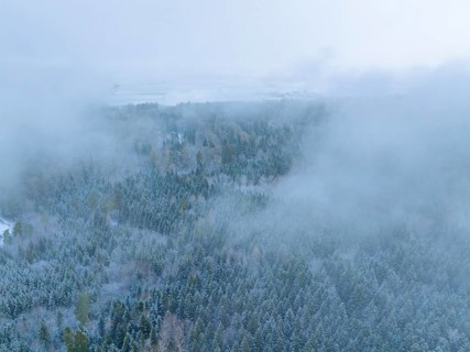 A foggy winter forest from the air with snow-covered trees, Nagold, Black Forest, Germany