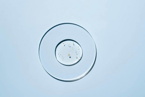 A minimalist design glass plate features delicate specks of gold The composition rests on a light