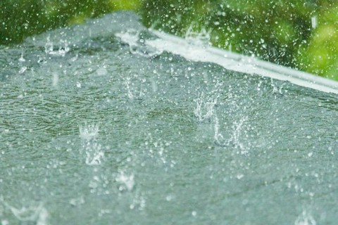 Heavy rain in a garden, Bannewitz, Saxony, Germany