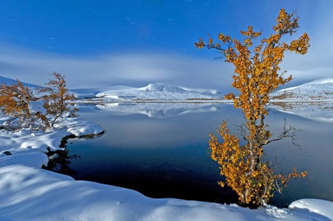 Full moon night in Döralen Valley, Rondane National Park, Oppdal Fylke, Norway